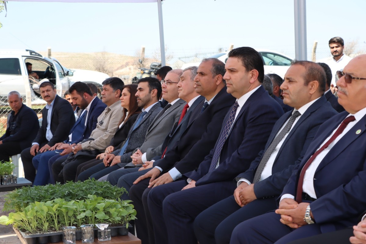 BÜYÜKŞEHİR, 1 MİLYON FİDE DAĞITARAK ÜRETİCİYİ DESTEKLEDİ
