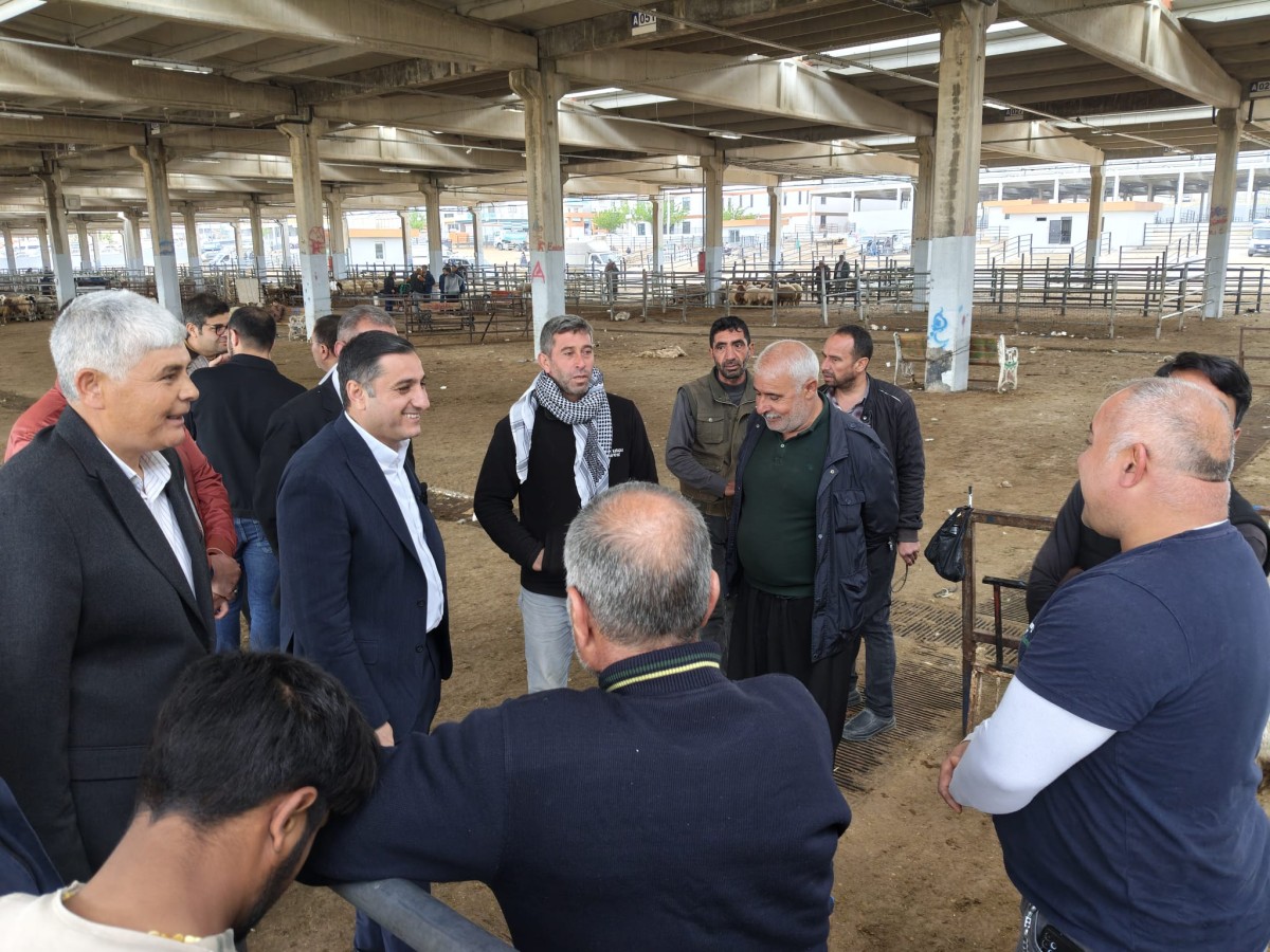 CHP Şanlıurfa İl Başkanı Ferhat Karadağ: “Hayvan Pazarında Tablo Endişe Verici”