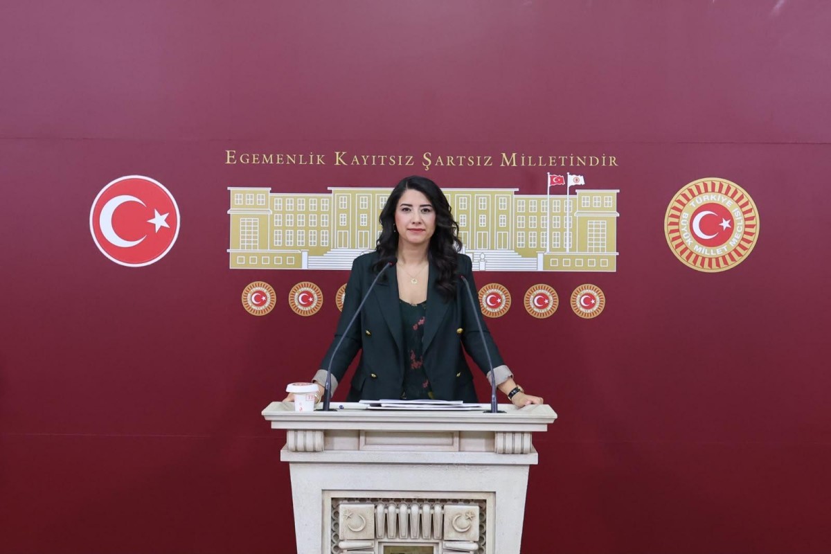 Dilan Kunt Ayan'dan Akçakale Belediye Başkanı Hakkında İçişleri Bakanı'na 11 Soruluk Önerge