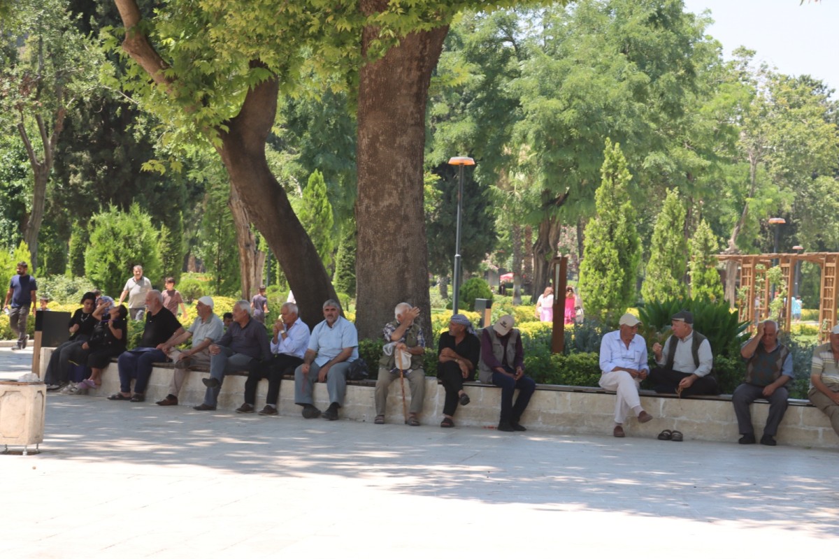 Şanlıurfa'da 40 Dereceyi Aşan Sıcakta Yaşlılar Balıklıgöl'ün Gölgesine Sığındı