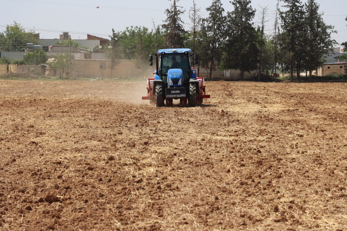Tarımsal Girdi Fiyatları Mayısta Yıllık Yüzde 36,65 Arttı