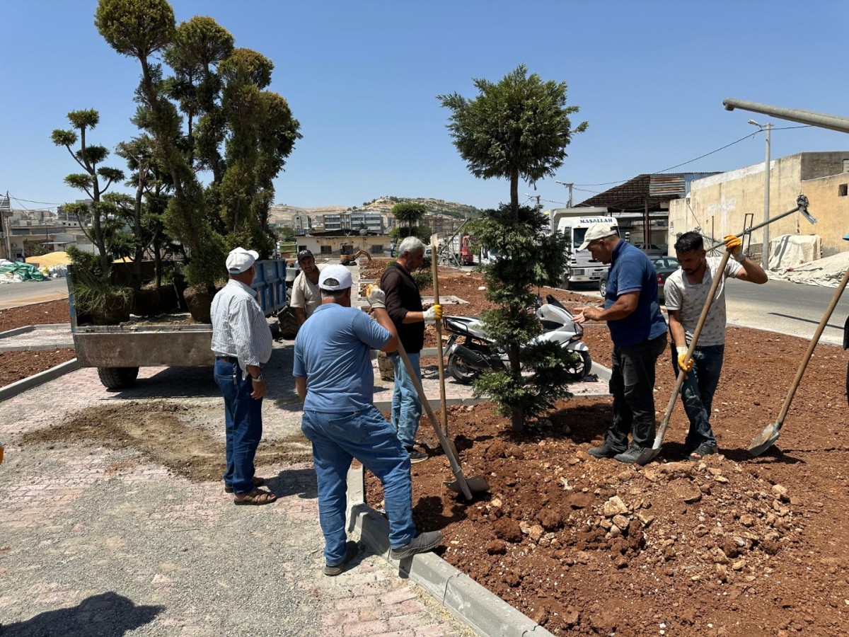 Eyyübiye’de Yeşillendirme Çalışmaları Hız Kesmiyor