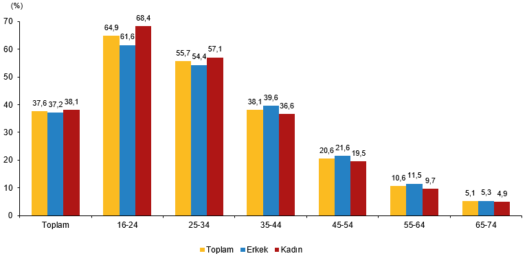 Yapay Zeka Kullanımı Bir Yılda İkiye Katlandı
