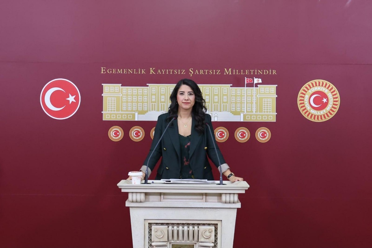 Dilan Kunt Ayan’dan Deprem Uyarısı: “Urfa Gerçekten Depreme Hazır mı?”